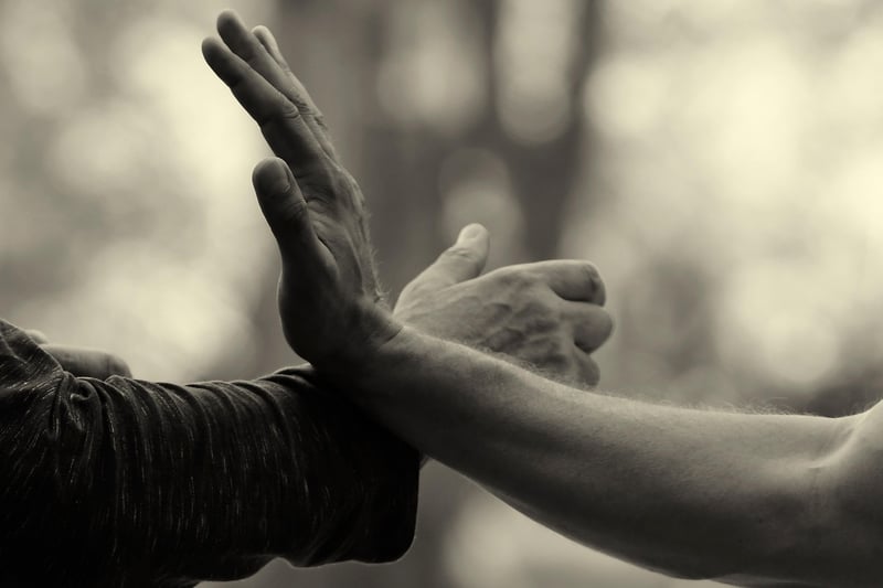 Tai Chi Practice